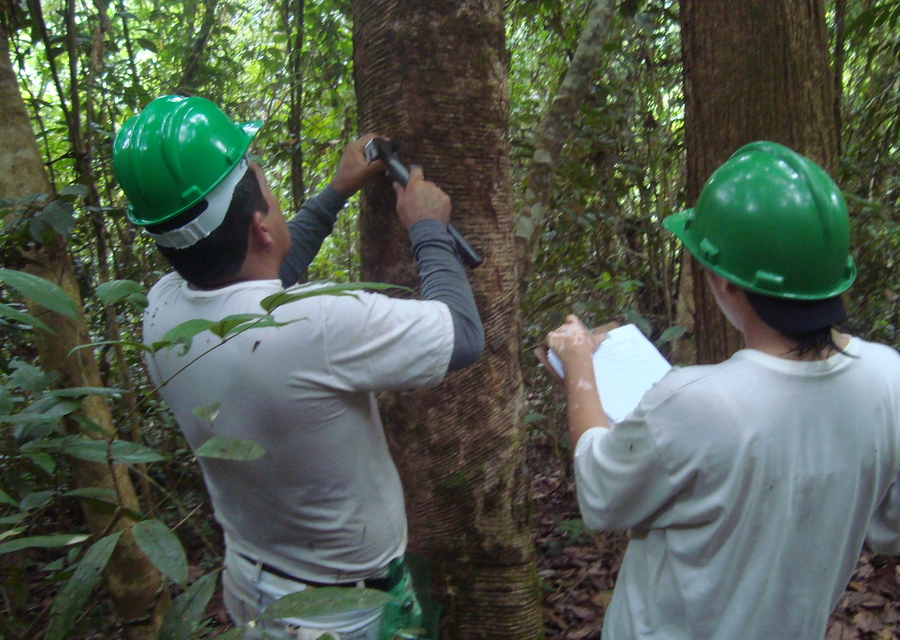 Inventário Florestal