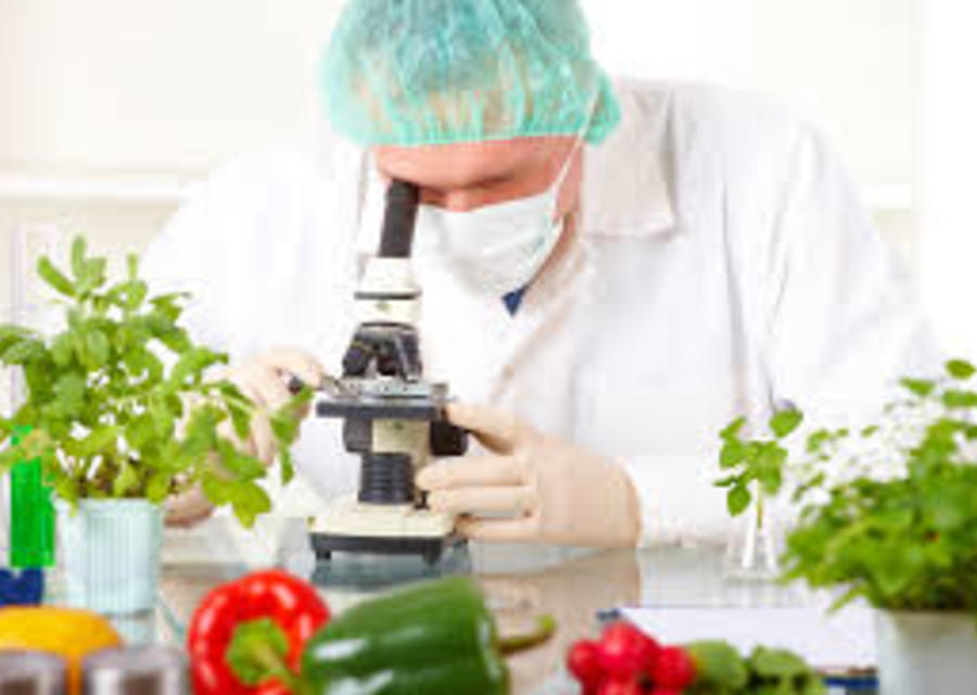 Desenvolvimento de Produtos (Alimentos)
